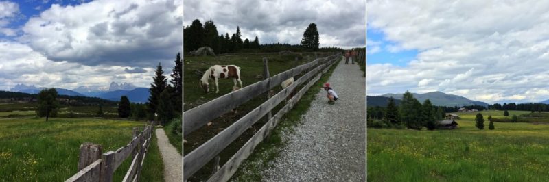 Wandertipp Villanders Dolomiten Eisacktal Pony Villanderer Alm Streichelzoo Familienausflug Eisacktal Kinder